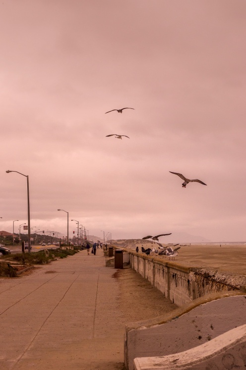 Ocean Beach, Lands End, San Francisco